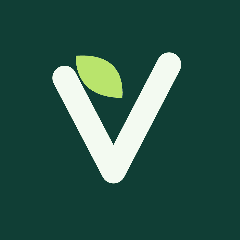 Official VEZVO brand image / صورة الهوية الرسمية لـ VEZVO